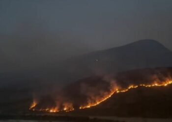 Zjarri përfshin kodrat e Salarisë në Tepelenë, si paraqitet situata