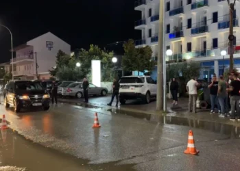 EMRAT/Kush janë dy vëllezërit që shkrepën armën ndaj dy viktimave në Velipojë