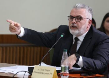 Mandati i Xhaçkës, Gogu-Bardhit: Po bën xhonglerin politik! Bëni si mendja pas Kushtetueses, por…
