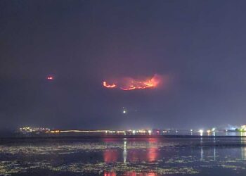 Del jashtë kontrollit zjarri në Malin e Thatë, vështirësohet puna e zjarrfikësve