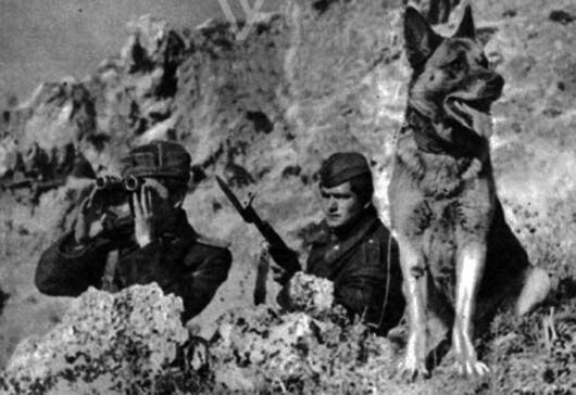 Mbi 900 të vrarë e të zhdukur në kufi gjatë diktaturës, Sula: Nuk ka gjurmë