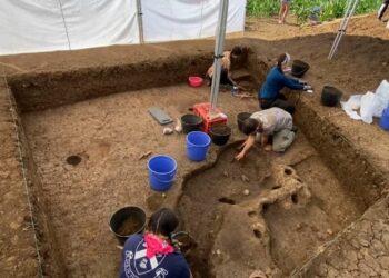 Gërmimet në Maliq, zbulohet rrethimi i një vendbanimi 7 mijë vjeçar