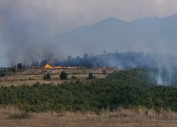 Vatër masive zjarri në afërsi të Burrelit, nis ndërhyrja për vënien nën kontroll të flakëve