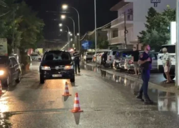 Vrasja e dy të rinjve në Velipojë, arrestohen punonjësit e hotelit të autorëve, dyshohet se nisën sherrin dhe…