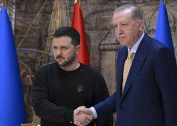 Erdogan ndihmon Zelenskyn? Turqia ratifikon marrëveshjen e tregtisë së lirë me Ukrainën