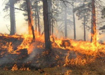 Berat/Zjarr në zonën e quajtur Zagorja, digjen rreth 2 dynym bimësi