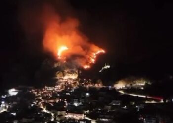 Festa që shkrumboi qindra pemë/ Shkaktoi zjarrin masiv në Dhërmi me fishekzjarrë, përfundon në pranga i riu