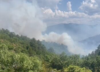 4 vatra të reja zjarri në Maliq, ka dyshime për zjarrëvënie të qëllimshme
