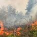 Situata me zjarret, Ministria e Mbrojtjes publikon bilancin: Në 24 orë u raportuan 29 vatra, 14 ende aktive