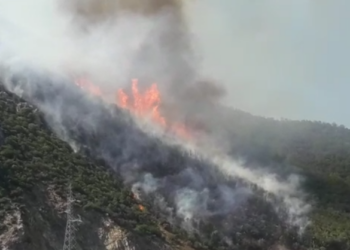 Dita e gjashtë, zjarri në pyjet e Maliqit mbetet aktiv, terreni vështirëson punën e zjarrfikësve
