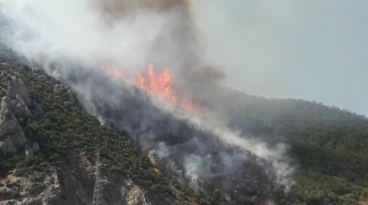 Dita e gjashtë, zjarri në pyjet e Maliqit mbetet aktiv, terreni vështirëson punën e zjarrfikësve