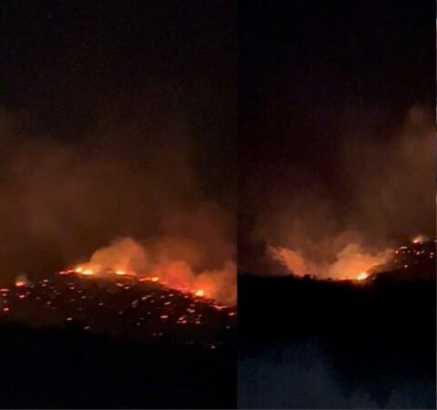 Zjarrfikësit në Gjirokastër në luftë më flakët gjatë natës, vatrat në Labovë ende aktive