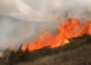Zjarr në fshatin Novosej të Kukësit, terreni i thyer vështirëson shuarjen e flakëve