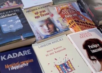 Mali i Zi, bibliotekë me zë për të nxitur arsimimin në gjuhen shqipe