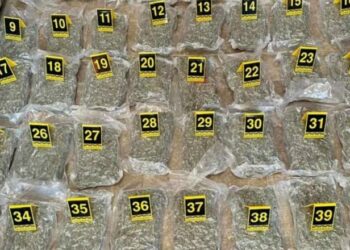 Kapen 66 kilogramë kanabis në Mal të Zi, dy trafikantët arratisen drejt Shqipërisë