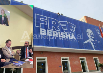 PD e Berishës, e shpjeguar në një foto