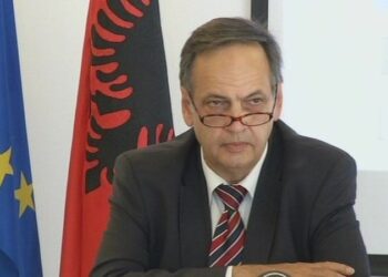 “Kampi i Gjadrit, zgjidhje për Evropën”, Fleckenstein: Shfrytëzoni luftën në Ukrainë për anëtarësimin në BE