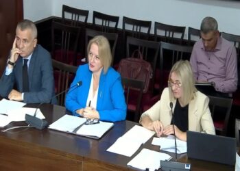Denaj tek “Ekonomi”: Prodhimi organik, prioritet për të ardhmen e bujqësisë shqiptare