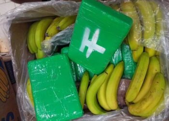 Droga “ngatërron” destinacion, nga duart e trafikantëve përfundon në supermarket