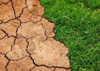 Përjetuam verën më të nxehtë në histori?! Paralajmërimi i “Copernicus”