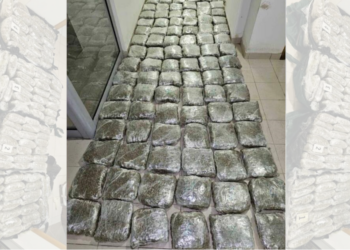 Erdhi nga Shqipëria, kapen gati 100 kilogramë marijuanë në Tuz të Malit të Zi