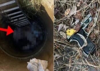 Krimi monstruoz në Shënavlash/ Djali i viktimës Enver Balla: Kasaforta ka qenë e hapur për të gjithë familjen! Paratë mund t’i merrte…