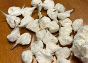 Tentoi të arratisej, por…/ Arrestohet për shpërndarje droge 21-vjeçari shqiptar në Itali