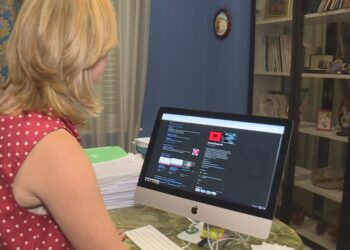 Shitjet online, akomodimi dhe biznesi ushqimor po mbizotërojnë tregtinë elektronike