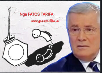 Fjalor i paradokseve (VIII)