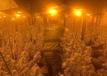 Shqiptarët mbushën Katalonjën me drogë?! Autoritetet spanjolle në alarm, ja çfarë pritet të ndodhë