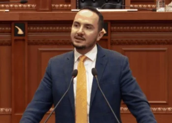 Dënimi i Salianjit, Flutura Açka: Përgjegjësit e vërtetë, a kanë ndonjë katarsisis?