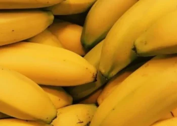 Ndodh edhe kjo/ Trafikantët ngatërrojnë paletat, bananet me kokainë përfundojnë në markete