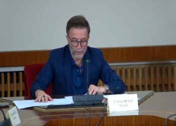 “Dezinformimi”, Braçe: Mediat serbe po përhapin lajme të rreme, implikojnë Shqipërinë e Kosovën!