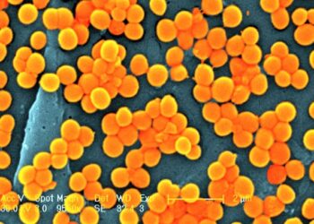 Kriza e super-bakterieve! Studimi: 40 milionë njerëz mund të vdesin deri në vitin 2050