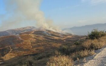 Vatër e madhe zjarri në malin e Shashicës, përfshihet nga flakët hapësira pyjore
