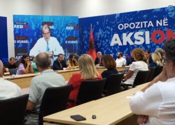“Nëse nuk lirohet Berisha, kot që ekzistojmë”, debatet në PD: Do dalim më keq se zgjedhjet 2017 po neglizhuam diasporën