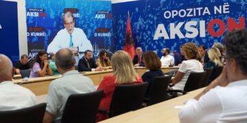 “Nëse nuk lirohet Berisha, kot që ekzistojmë”, debatet në PD: Do dalim më keq se zgjedhjet 2017 po neglizhuam diasporën