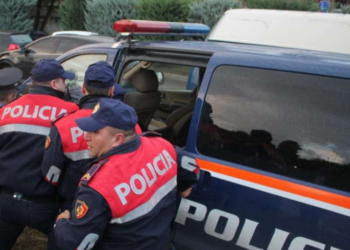 Sherr për pronat në Konispol, rrihet me grushte një grua, Policia jep detajet e para