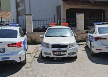 Dhuna në familje/Situatë shqetësuese në Korçë, vetëm në dy muajt e fundit janë regjistruar 122 raste