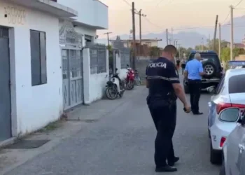 Shkak i plagosjes një konflikt i hershëm, detajet e ngjarjes në Shkodër