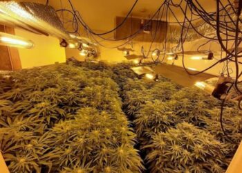 U kap në ‘shtëpi bari’, dënohet me 2 vite e 3 muaj burg 46- vjeçari shqiptar në Britani