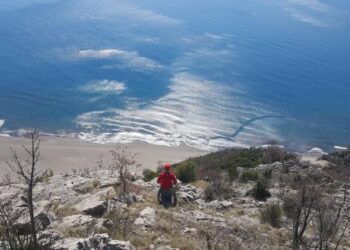 Plazhe, laguna, kulturë e kulinari, 1.4 milionë turistë vizituan Lezhën këtë sezon