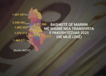 Buxheti për vitin e ardhshëm 8.2 miliardë euro, 1 në 3 lekë për mbrojtjen sociale! Ja për çfarë shkon pjesa tjetër