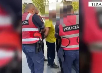 “DAMASK”, shkatërrohet grupi kriminal që trafikonin emigrantë, 15 të arrestuar (EMRAT)