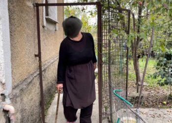 “Isha në gjumë, kur theu dritaren”/ Nipi i burrit i hyri në banesë për ta p*rdhunuar, dëshmia e 75-vjeçares: Fliste fjalë të pista, tentoi të…