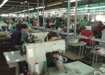 SHIFRAT | Shkalla e informalitetit në Shqipëri, kush preket më shumë?