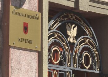 OSBE për gjininë e deputetëve, mashkull, femër apo të tjerë? PD: Provokim dhe shkelje e ligjit