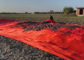 Shpalosur Flamuri kombëtar 800 metra katrorë në Myzeqe