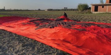 Shpalosur Flamuri kombëtar 800 metra katrorë në Myzeqe