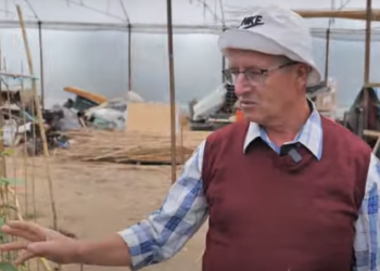 “Bujqësia, shtëpi pa çati”/ Njihuni me agronomin nga Nikla që ruan varietetet mbi 100-vjeçare